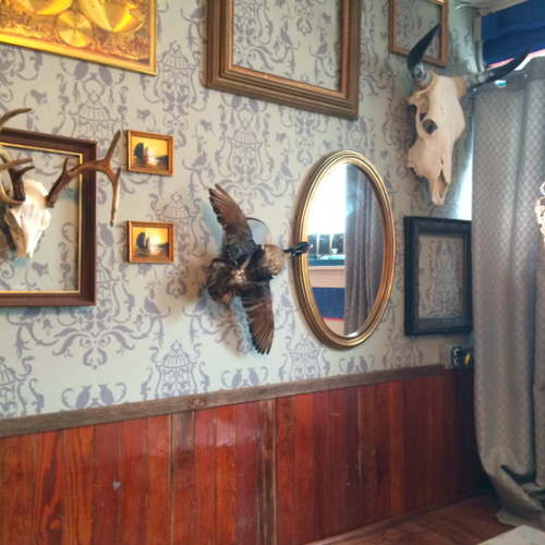 Charleston sc bdsm comic